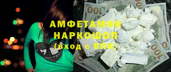 гидропоника Пересвет