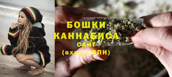 гидропоника Пересвет