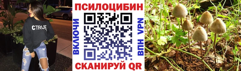 Галлюциногенные грибы Psilocybine cubensis  купить закладку  ссылка на мегу как войти  Тырныауз 